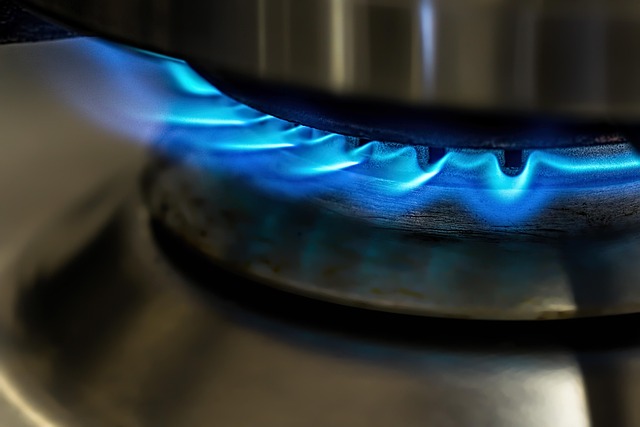 landlord gas safety check