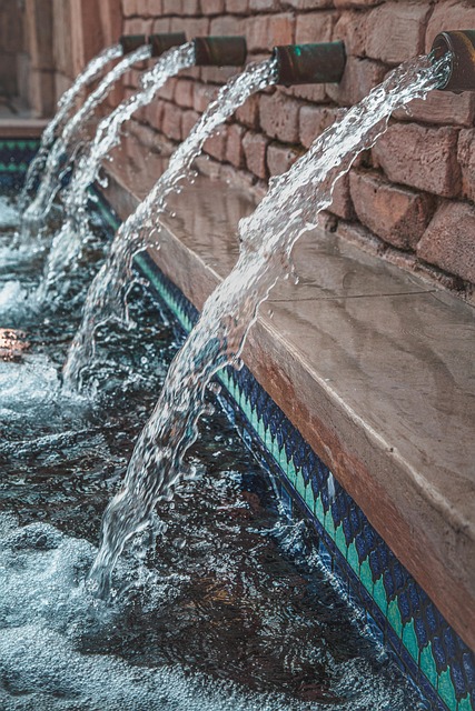 leak detection specialist
