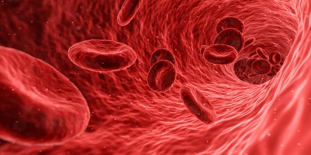 Master Your Thyroid: Best Home Blood Test Kits Reviewed