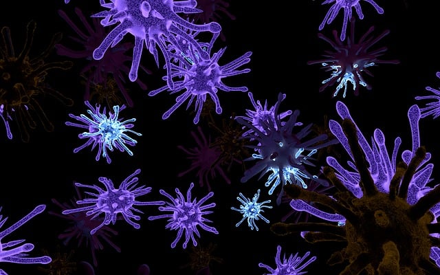 Iron Blood Test UK: Unlocking Reproductive Insights