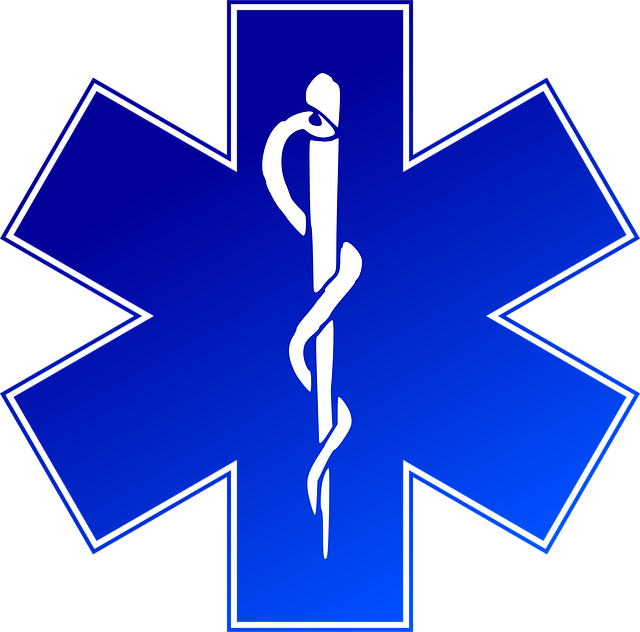 Emergency Plumber Services: Stop Pipe Bursts Fast