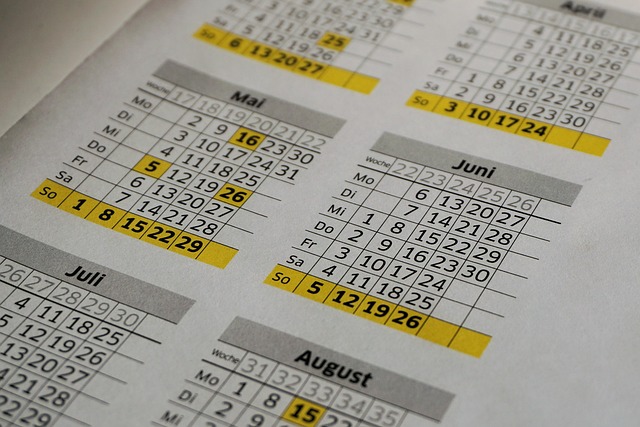 Master Debt Consolidation: Payment Plans & Top Company Choices