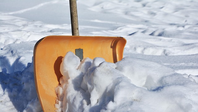 How Often Should Radiators Be Bled? Expert Tips for Maintenance