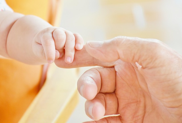 Find Peace: Bereavement Support Through Professional House Clearance