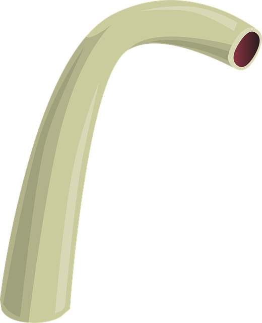 npressfetimg-2039.png