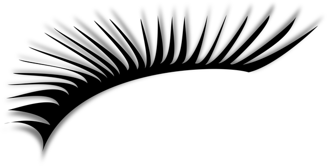 npressfetimg-2271.png