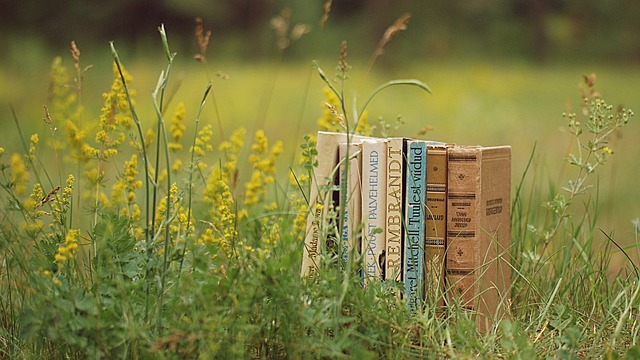 Revolutionize Clearance: Affordable Bulk Recycling Programs for Homes