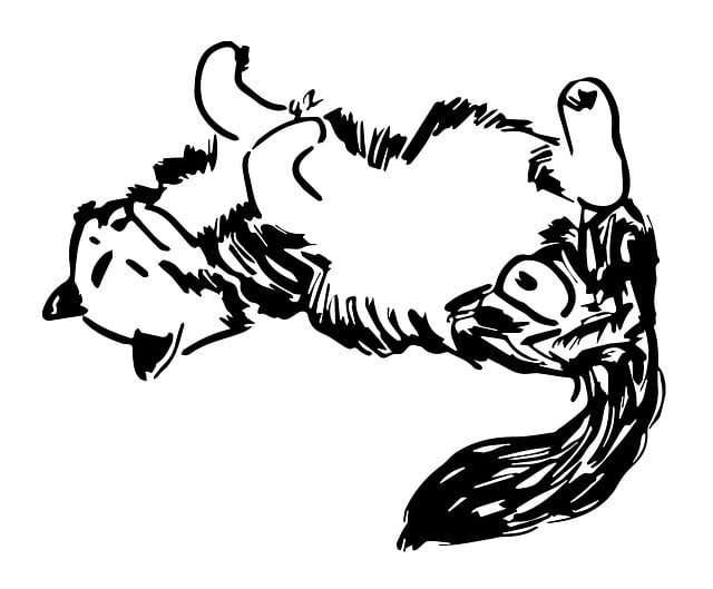 npressfetimg-3224.png