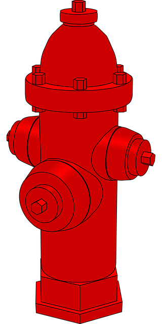 npressfetimg-3526.png