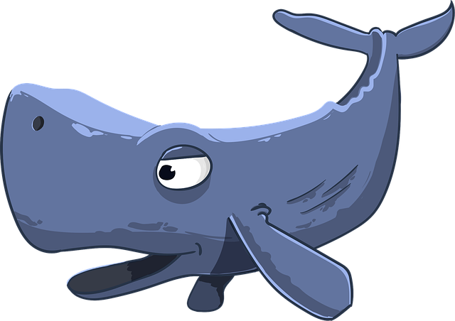 npressfetimg-3719.png