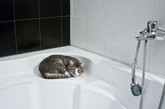 Fix Running Toilet: Expert Plumber’s Creative Solutions