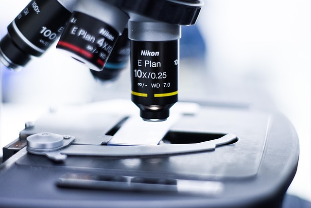 online testosterone blood test