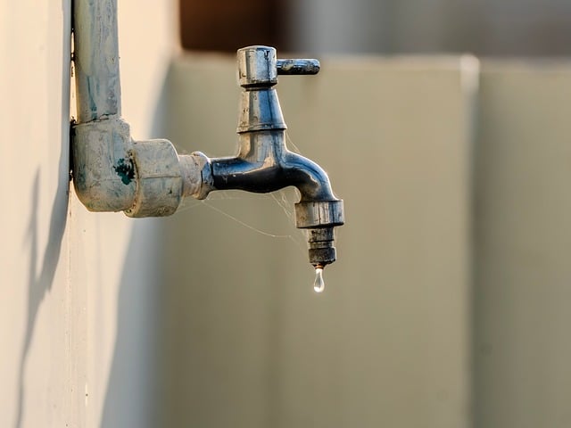 pipe repair service