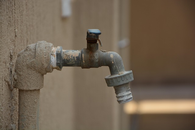 professional plumber services