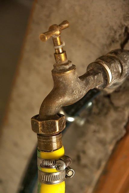 reliable plumbing contractor