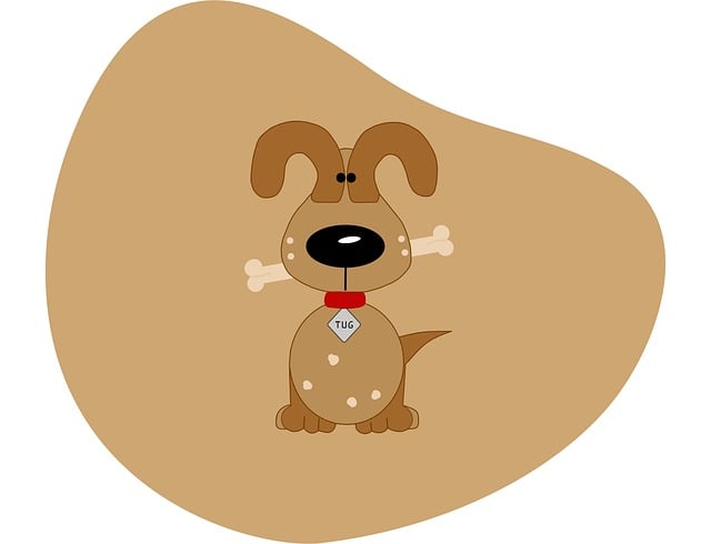 reliable skin tag removal clinic