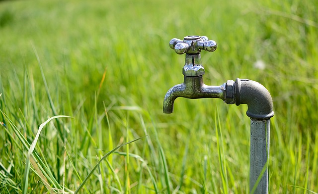 residential plumber expert