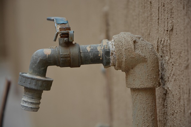 same day plumber service