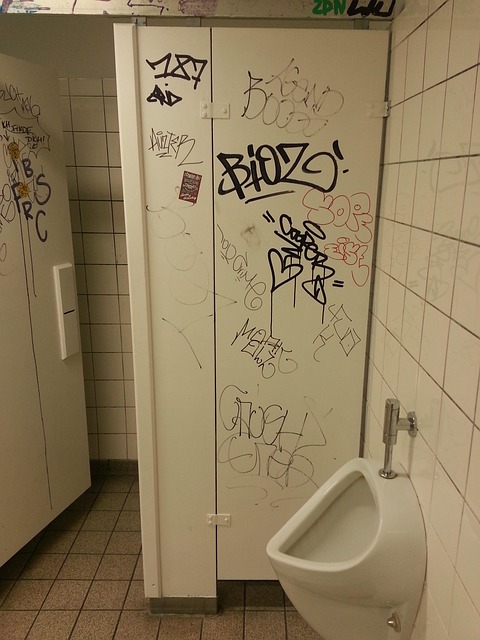 toilet repair service