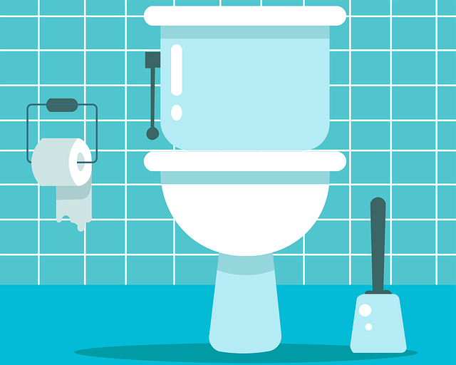 toilet repair service