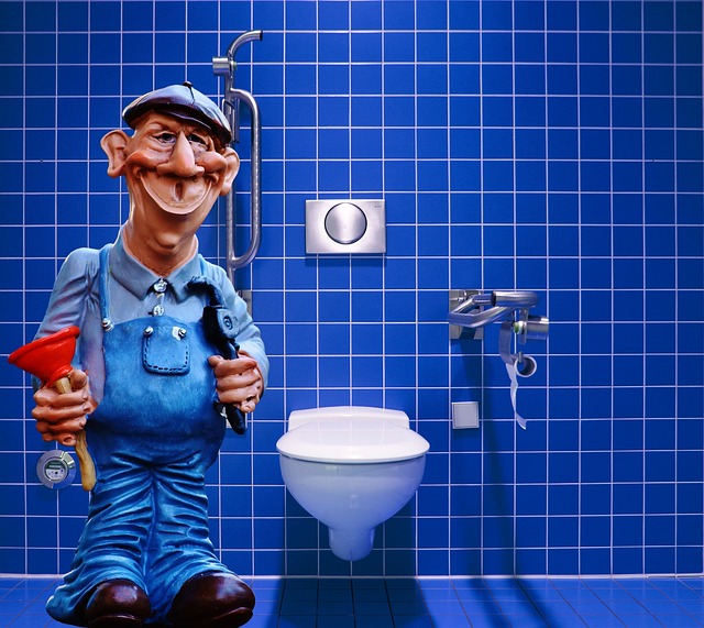 toilet repair service