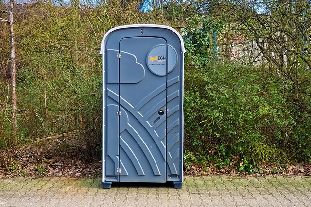 toilet repair service