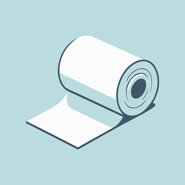 toilet repair service