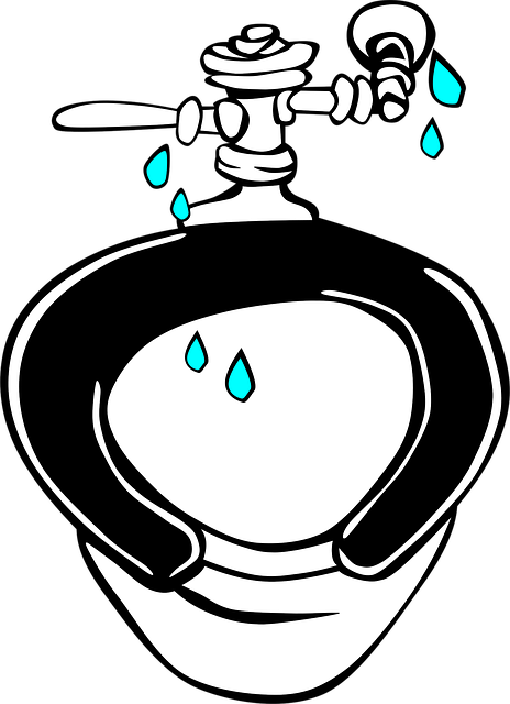 toilet repair service