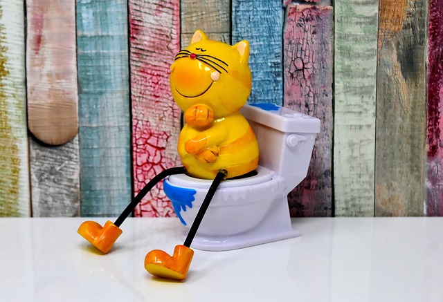 toilet repair service