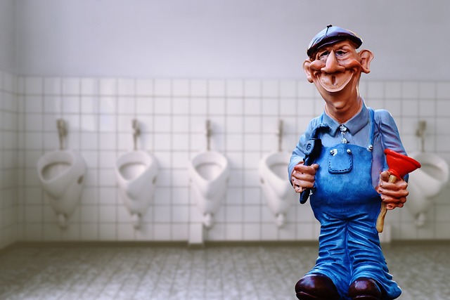 toilet repair service