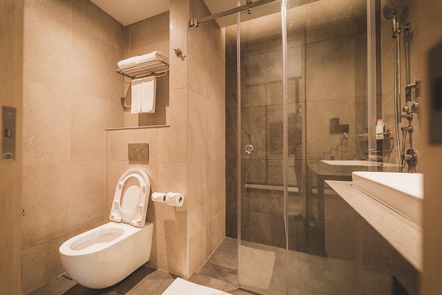 bathroom plumber expert
