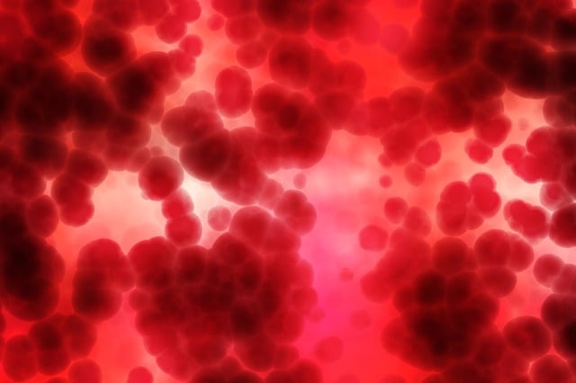 blood test