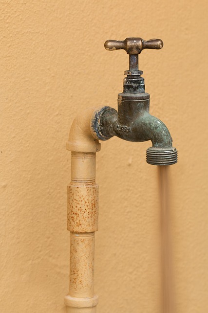 commercial plumbing services