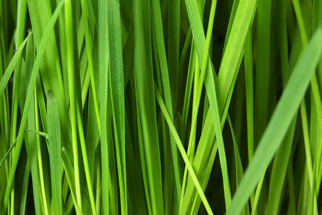 eco friendly house clearance service