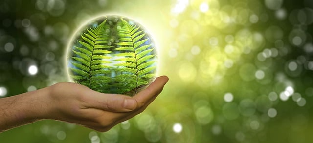 eco friendly house clearance service