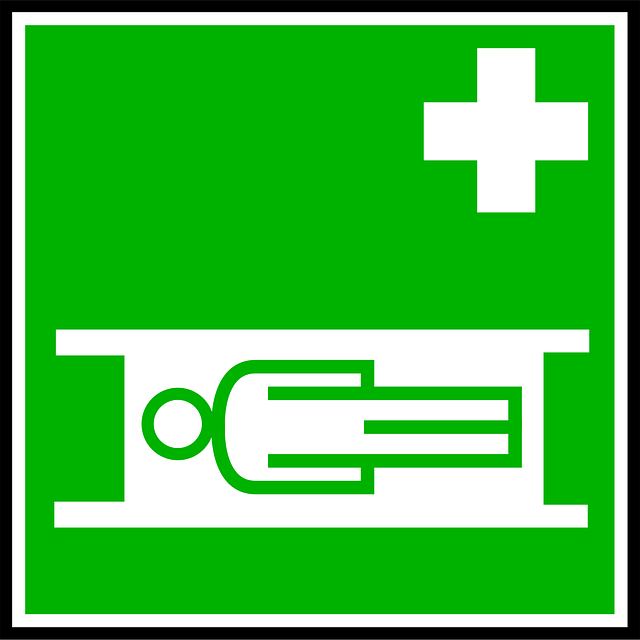 emergency plumber services