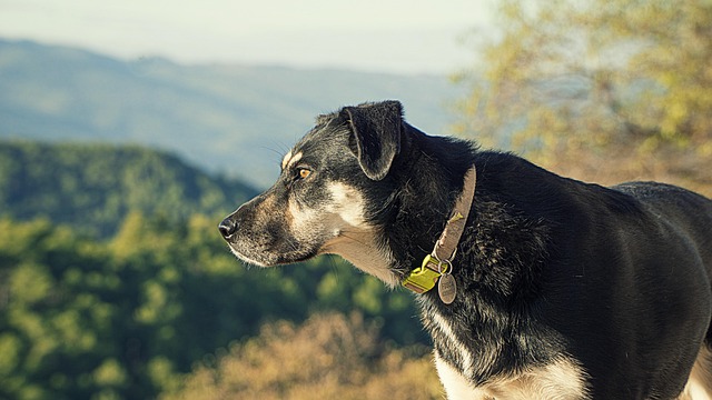 gentle skin tag removal method