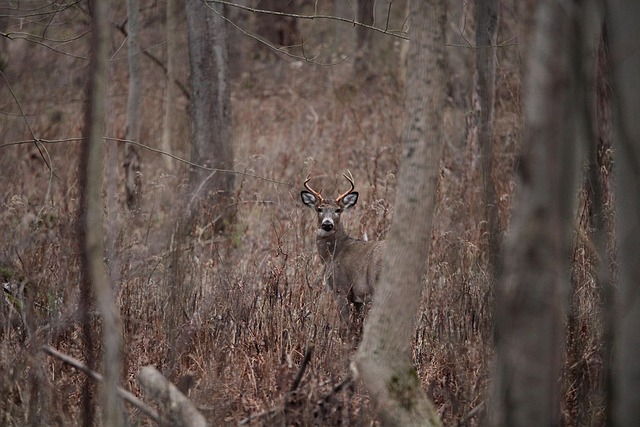 house clearance services near me