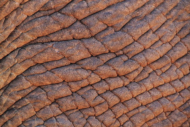 local skin tag removal center