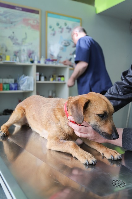 medical examination