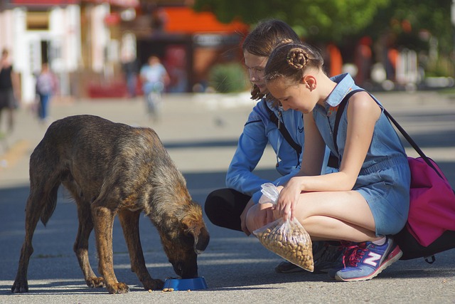 Charities Turn Donations into Lifesaving Emergency Supplies
