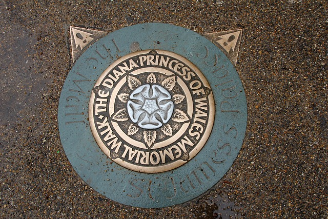 Unclog Shower Drains Naturally: Safe Drain Unblocking Service