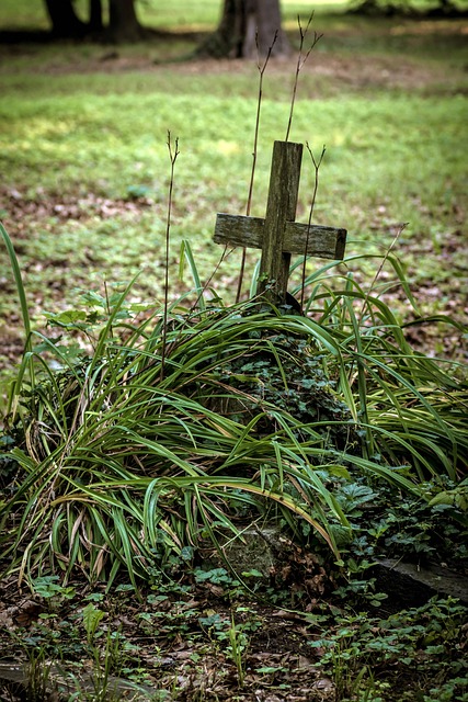 Navigating Bereavement: Expert Guidance for House Clearance Support