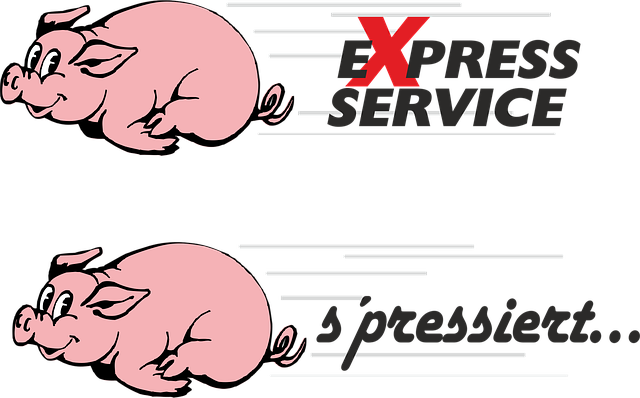 npressfetimg-1988.png