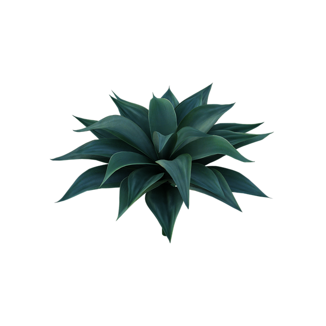 npressfetimg-225.png