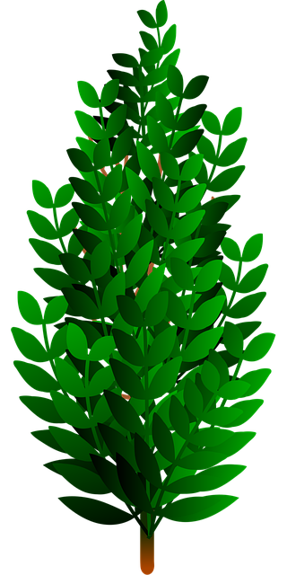 npressfetimg-2673.png