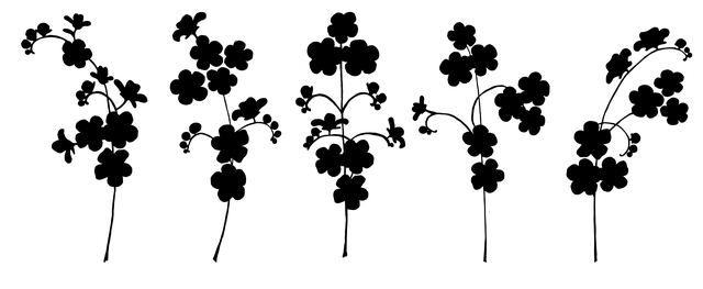npressfetimg-2679.png