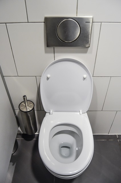 Find Emergency Toilet Repair Service Online Effortlessly