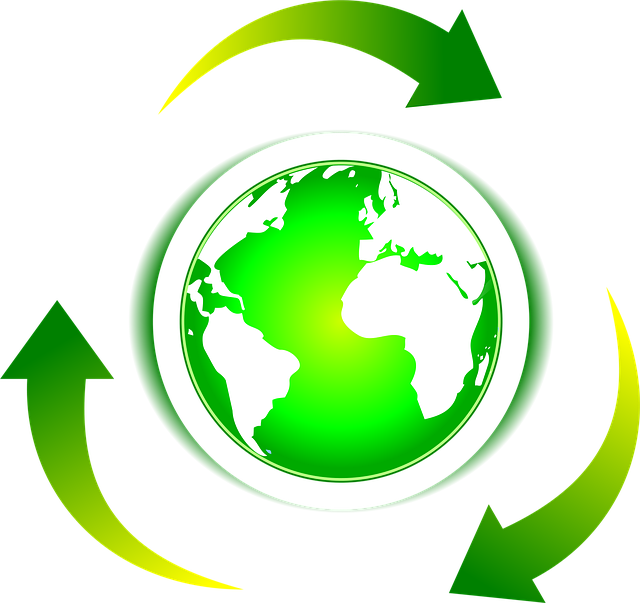 Eco-Friendly Move Out: Clear, Reuse, Recycle Guide