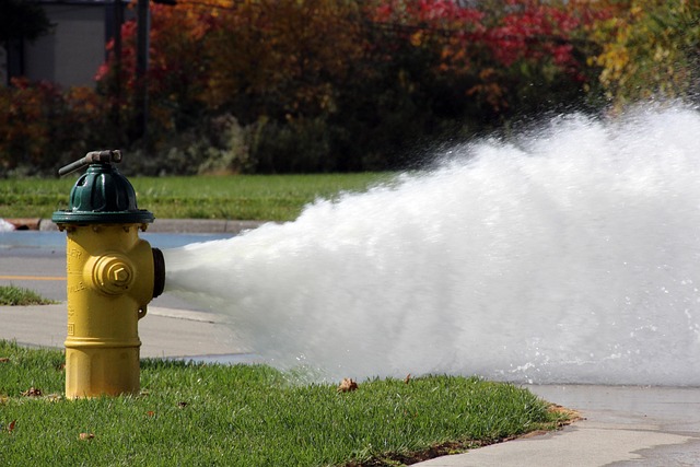 power flush service